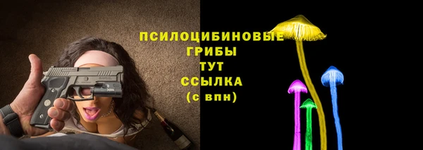 стаф Покачи
