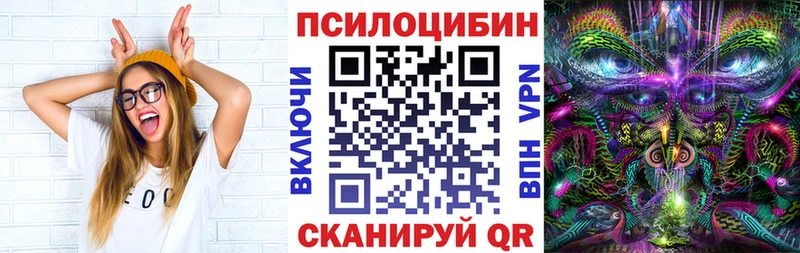 где купить   даркнет наркотические препараты  Псилоцибиновые грибы MAGIC MUSHROOMS  Ленинск 